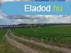 Szl s kert besorols terlet elad Dunafldvron!