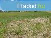 Elad 560m2-es ptsi telek, Abdszalk
