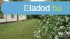 Elad apartmanhz 300 mterre a parttl! - Balatonberny