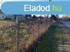 Elad 6000 nm-es ptsi telek Szatymaz   