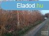 Elad 6000 nm-es ptsi telek Szatymaz   