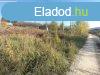 Elad 788 m2 ptsi telek, Miskolc