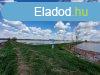 Elad Halast Gyula