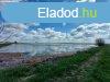 Elad Halast Gyula