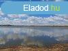 Elad Halast Gyula