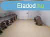 Elad 1300 nm-es Gyrplet Gyula