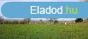 Cserszegtomajon 3 db ptsi elad