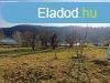 Panorms ZALACSNYI PTSI TELKET elad. - Zalacsny