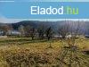 Panorms ZALACSNYI PTSI TELKET elad. - Zalacsny