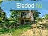Elad ZRTKERT prshzzal Pacsn. - Pacsa