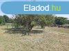 816 m2-es ptsi telek elad dndon, kzel a kzponthoz