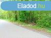 Elad Telek, Bocflde