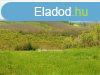 Elad Telek, Bocflde