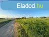Elad Telek, Balatonendrd