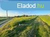 Elad Telek, Balatonendrd