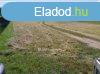 Elad Telek, Sifok