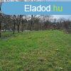 Elad dltelek Gyomaendrd
