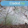 Elad dltelek Gyomaendrd