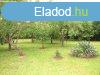 Elad ptsi telek Sopron