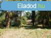 Fonydon,Balatontl 100 m-re,kivl adottsg ptsi telek 