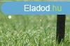 Elad belterleti pitsi telek! - Kard