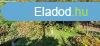 Elad zrtkerti telek fahzzal, pincvel! - Kaposvr
