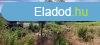 Elad pinceplet Esztergomban!