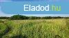 Elad 23 hektros legel s sznt Miskolc hatrban