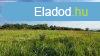Elad 23 hektros legel s sznt Miskolc hatrban