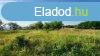 Elad 23 hektros legel s sznt Miskolc hatrban
