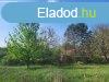 Albertirsai tanya 54 nm-es hzzal elad!