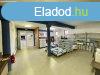 Elad 580m2-es Telephely, Hatvan