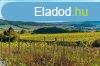 Elad rk panorms terlet budavron! 2,3ha!
