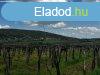 Elad panorms szlterlet Szentantalfn! 1,2ha! - Szentan