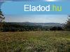 Elad rkpanorms telek Balatoncsicsn!
