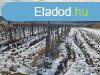 Erd kzelben -elad MEZGAZDASGI TERLET BALATONCSICSN -