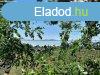 Panorms terlet- elad GYMLCSS BADACSONYTOMAJBAN - Bada