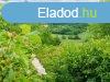 Nivegy - vlgy domboldalban - Balatoncsics