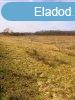 Bterm Di ltetvny  ELAD! - Balatonhenye