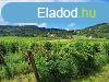 PTHET terlet- elad MEZGAZDASGI TERLET PCSELYEN - P