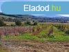 pthet, tjpanorms-elad MEZGAZDASGI TERLET MINDSZENT