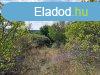 Elad balatonalmdi zrtkert - Balatonalmdi
