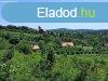 rk tjpanorms - elad MEZGAZDASGI TERLET PCSELYEN - 