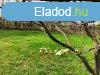 pthet telek 500 mterre a strandtl - Balatonfred