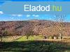 Erd melletti s tjpanorms -elad ZRTKERT KAPOLCSON - Ka