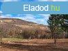 PTHET, TJPANORMS  terlet -elad ZRTKERT PCSELYEN - 