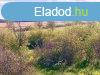 Tihanyi-flsziget -Dis rszn ELAD terlet