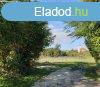Elad zldvezeti ptsi telek Csajgon!
