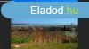 Llegzetelllt panormval nyaral elad Balatonalmdiban!