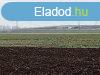 ELAD CEGLDEN 5.0399 HA SZNT! - Cegld